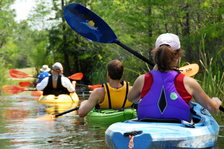 kayakers in line going down river